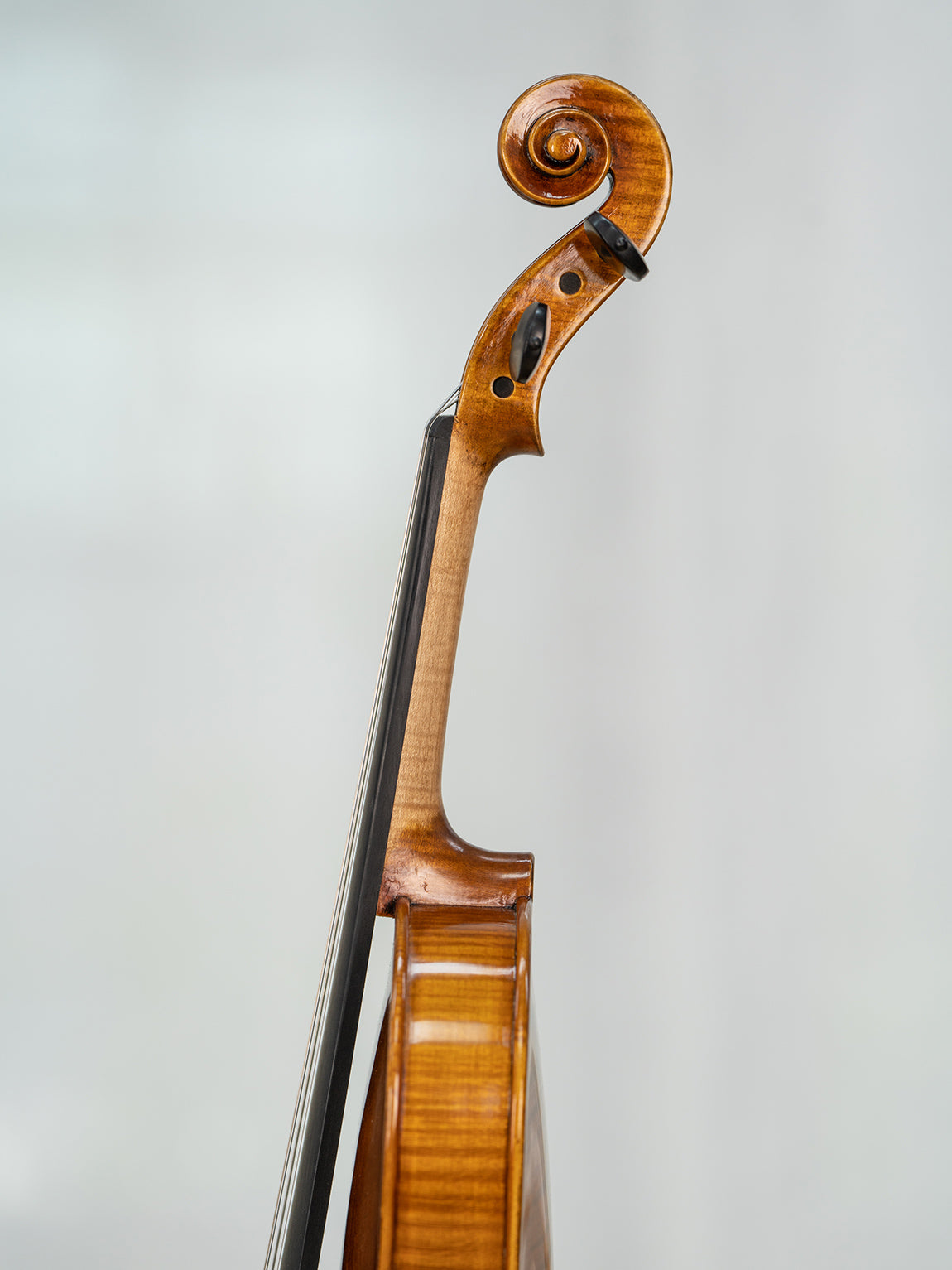 Ansaldo Poggi 1945-4004. 4/4 Violin IUEStrings Antique-Style