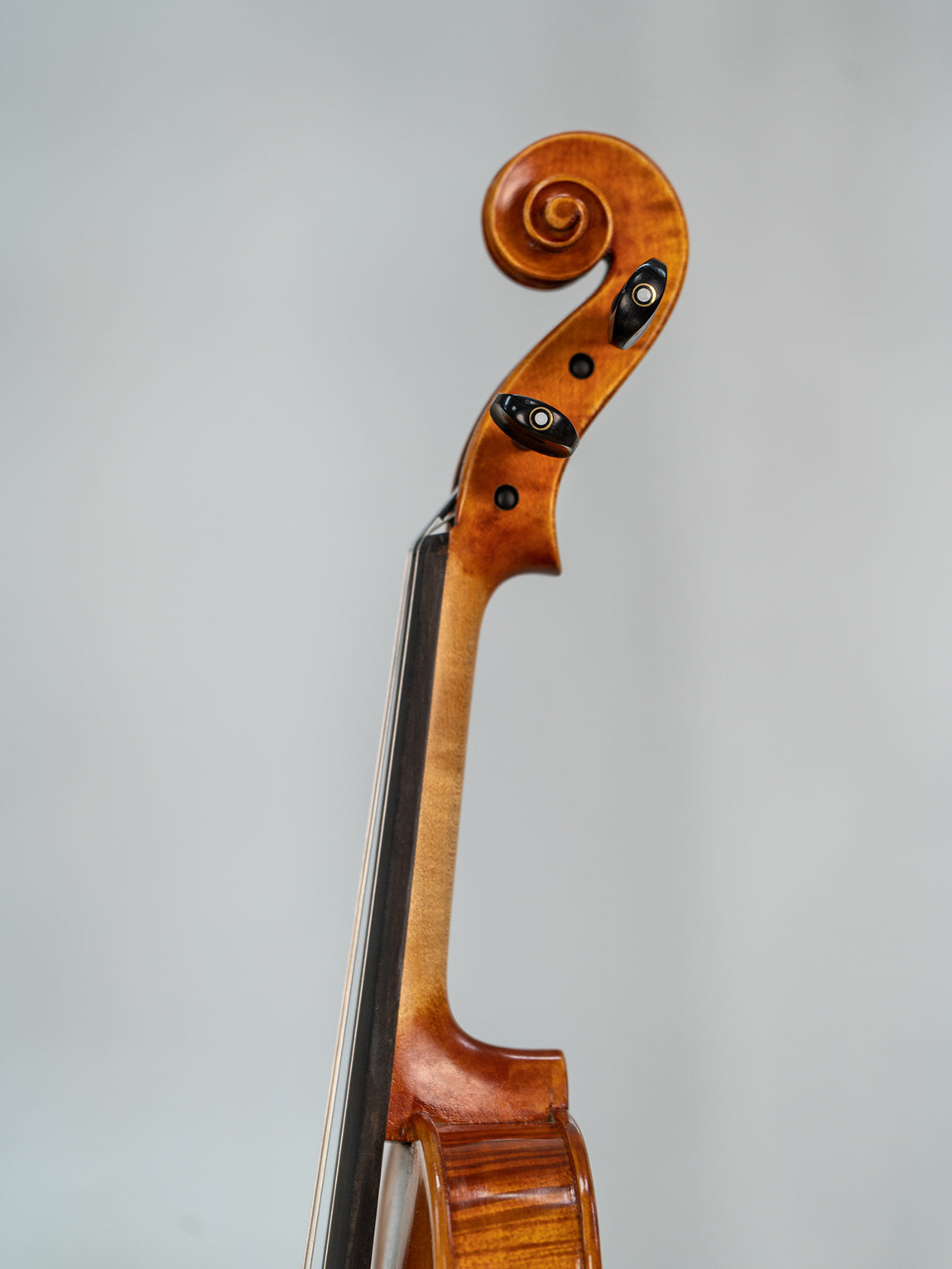 IUEStrings Studio Series Beginner Violins Outfit