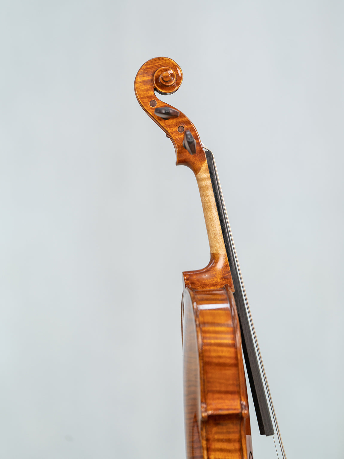 IUEStrings Studio Series 1/8 violin Outfit