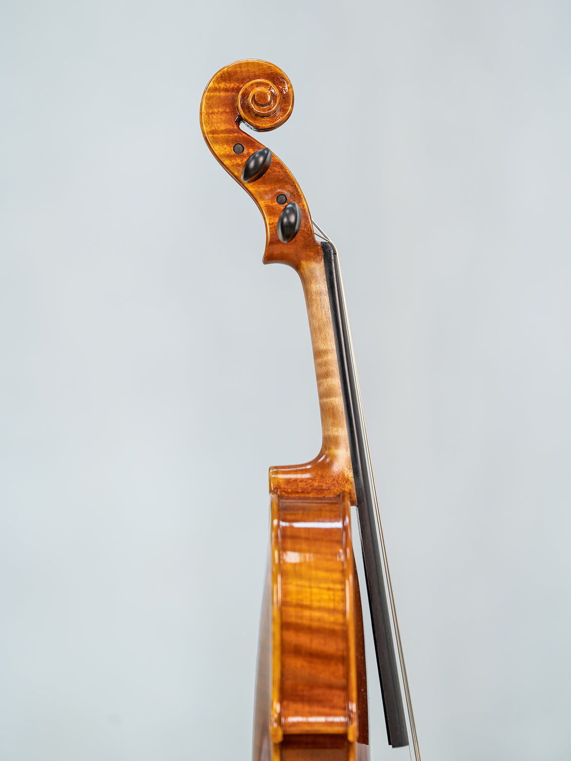 IUEStrings Studio Series 1/4 violin Outfit