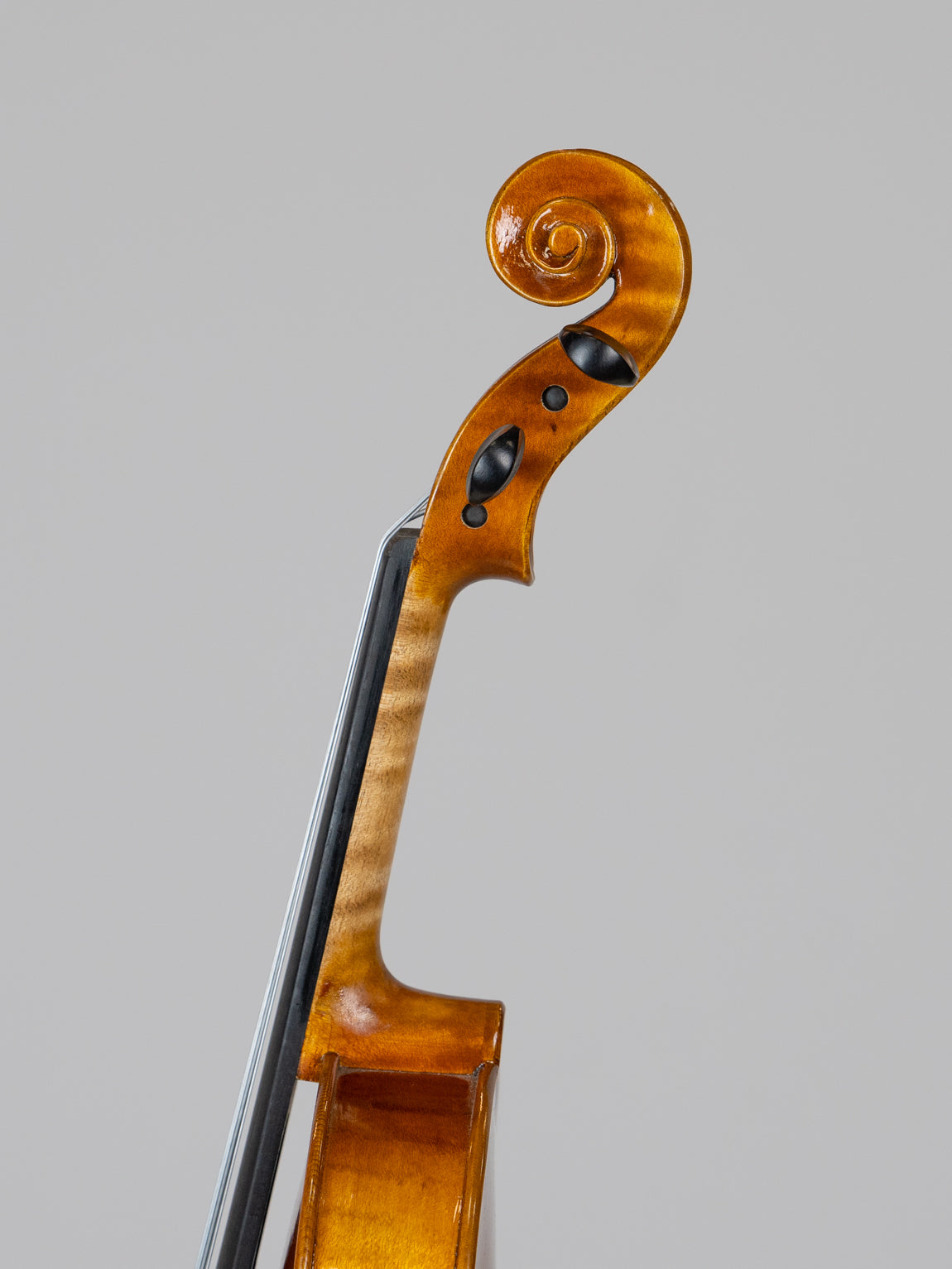 IUE Strings Studio Series 11" Viola Outfit