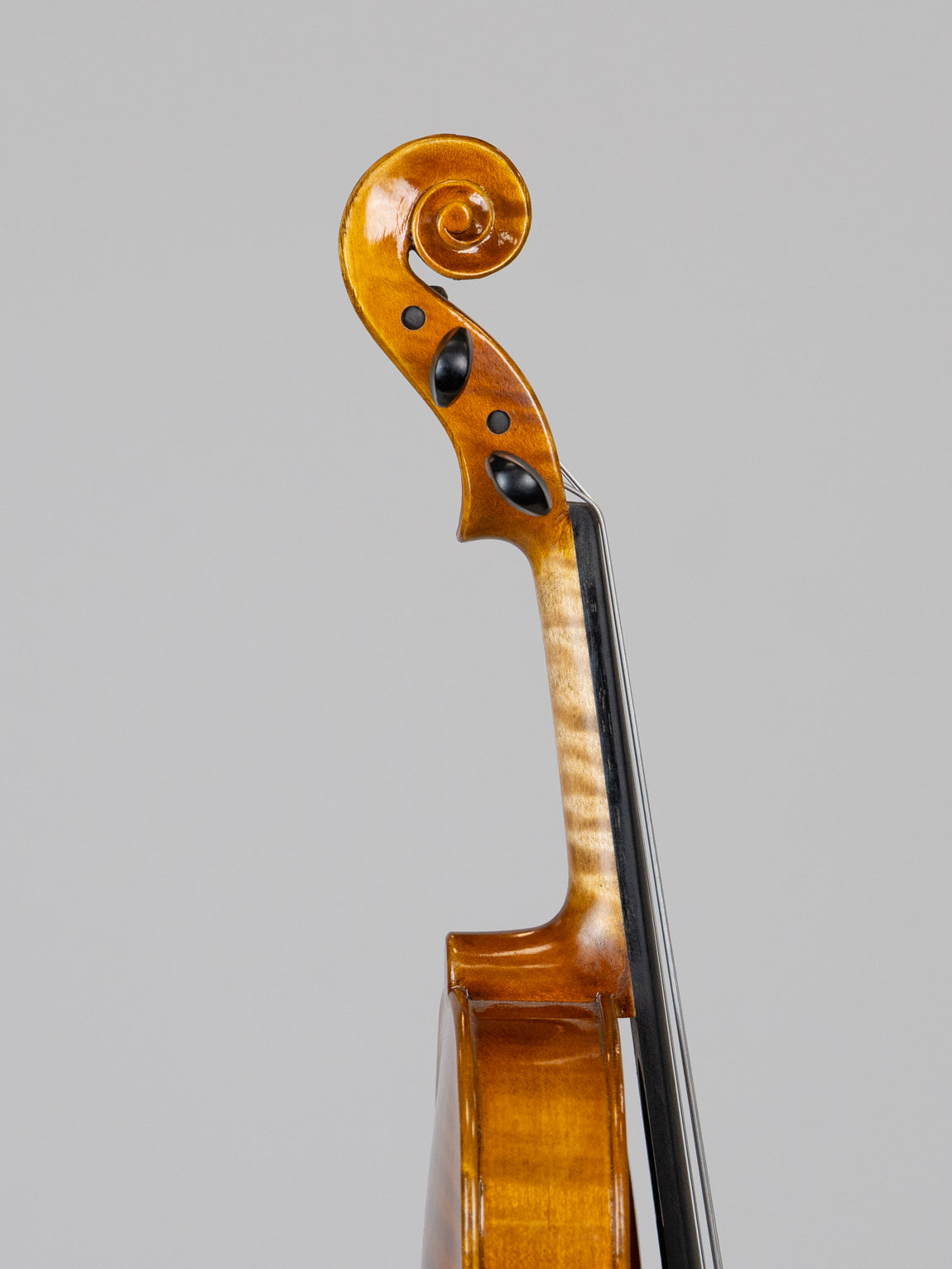 IUE Strings Studio Series 12" Viola Outfit