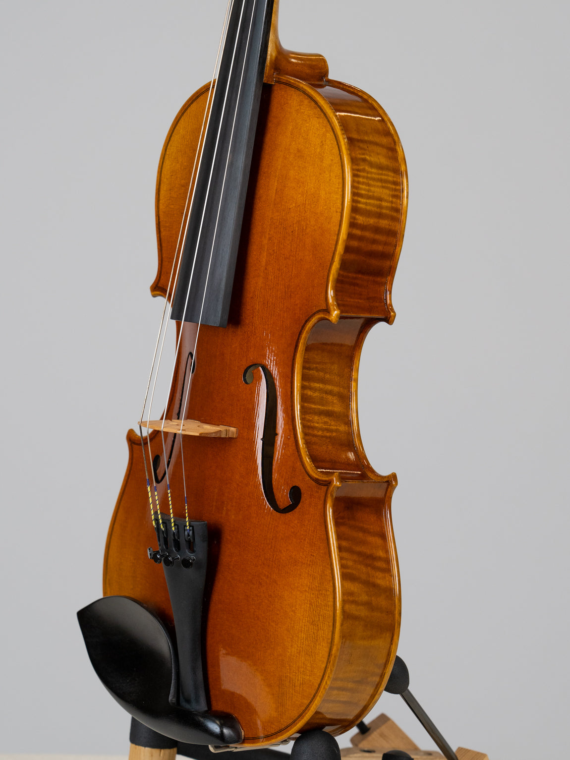 IUE Strings Studio Series Intermediate Viola Outfit