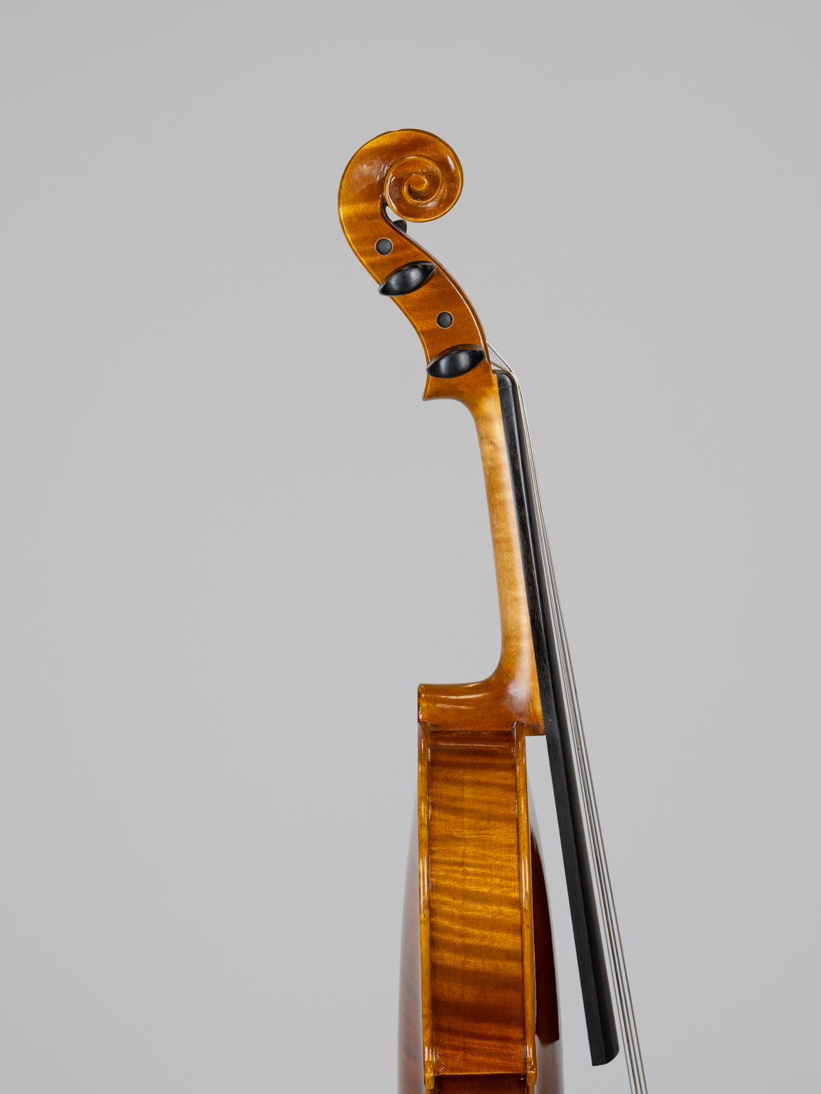 IUE Strings Studio Series Intermediate Viola Outfit