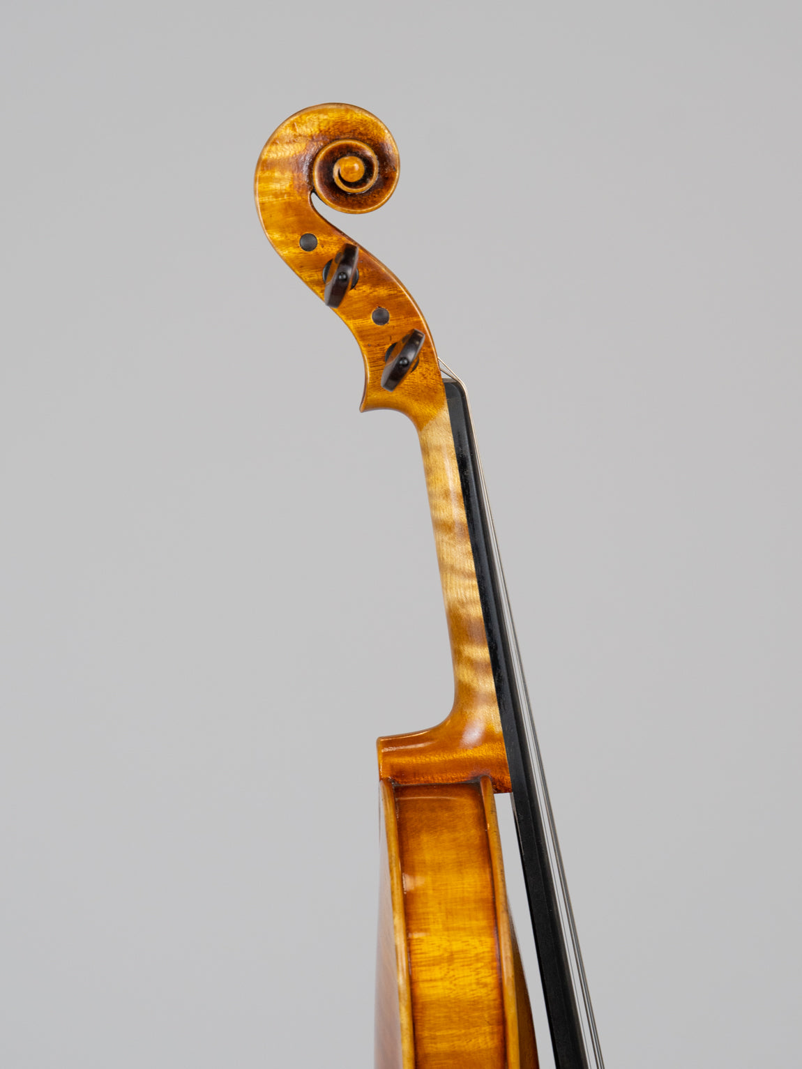 Mediolaum Violin claudio Canfora 2022 Milano. IUEStrings(VN03)