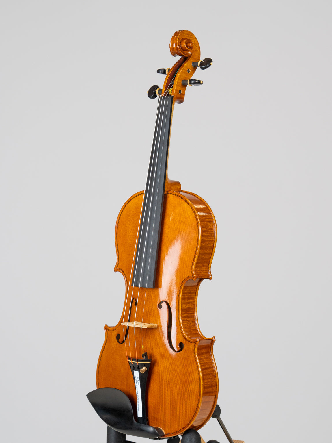 Andrea Schudtz 2022 Cremona. IUEStrings Luthier Series (VN09)