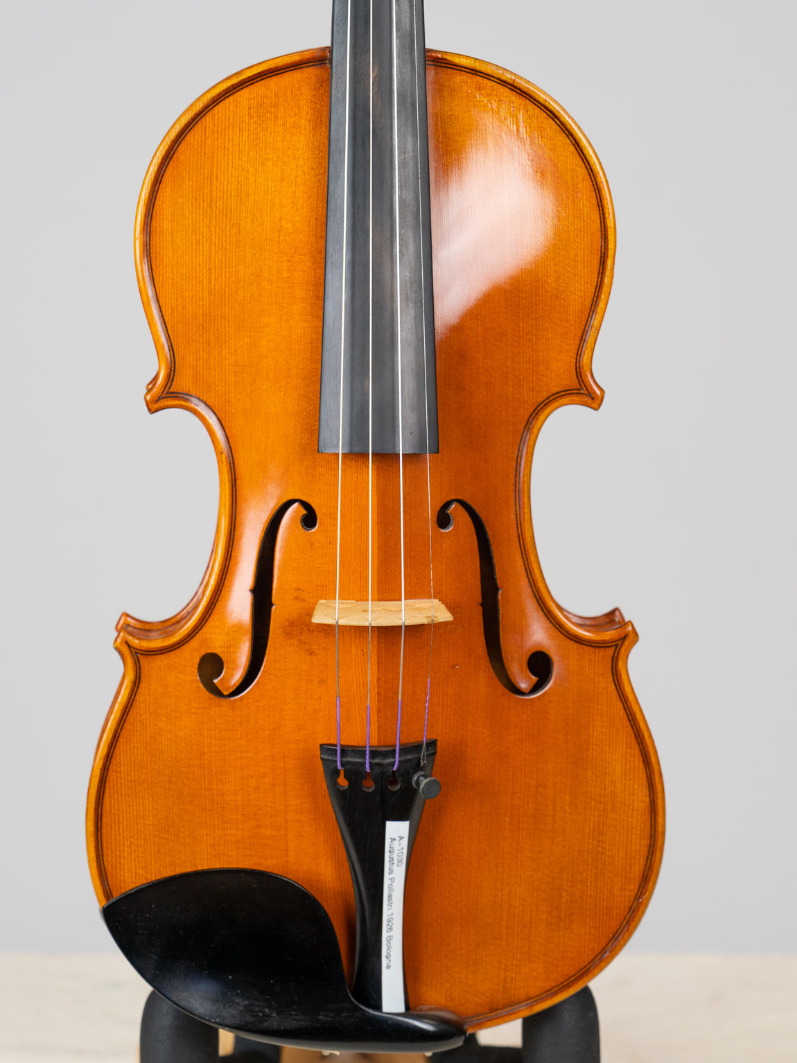 Augustus Pollastri 1926 Bologna. 爱六艺名家提琴大师系列小提琴