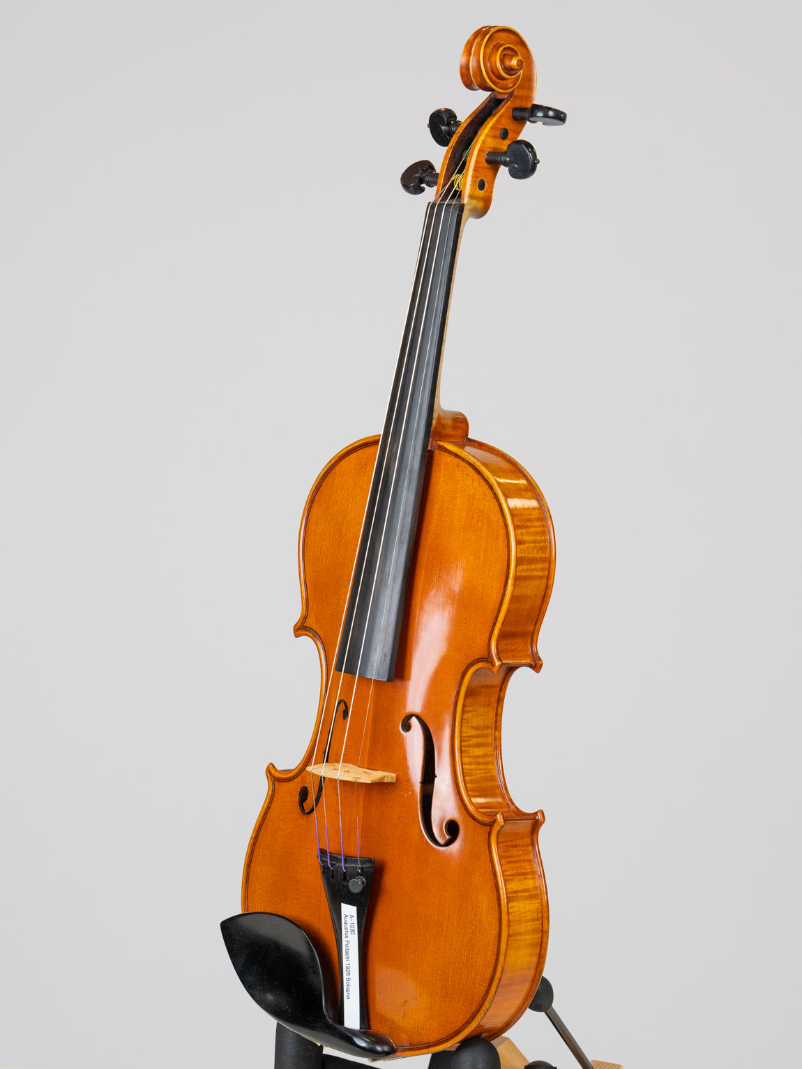 Augustus Pollastri 1926 Bologna. IUEStrings Luthier Series(VN12)