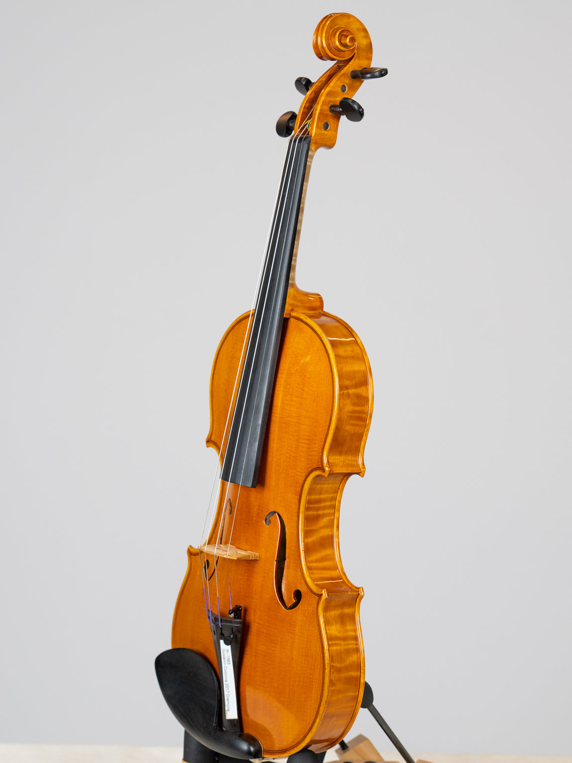 Giovanni Colonna 2017 Cremona. IUEStrings Luthier Series(VN14)