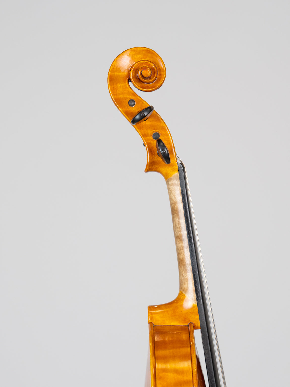 Giovanni Colonna 2017 Cremona. IUEStrings Luthier Series(VN14)