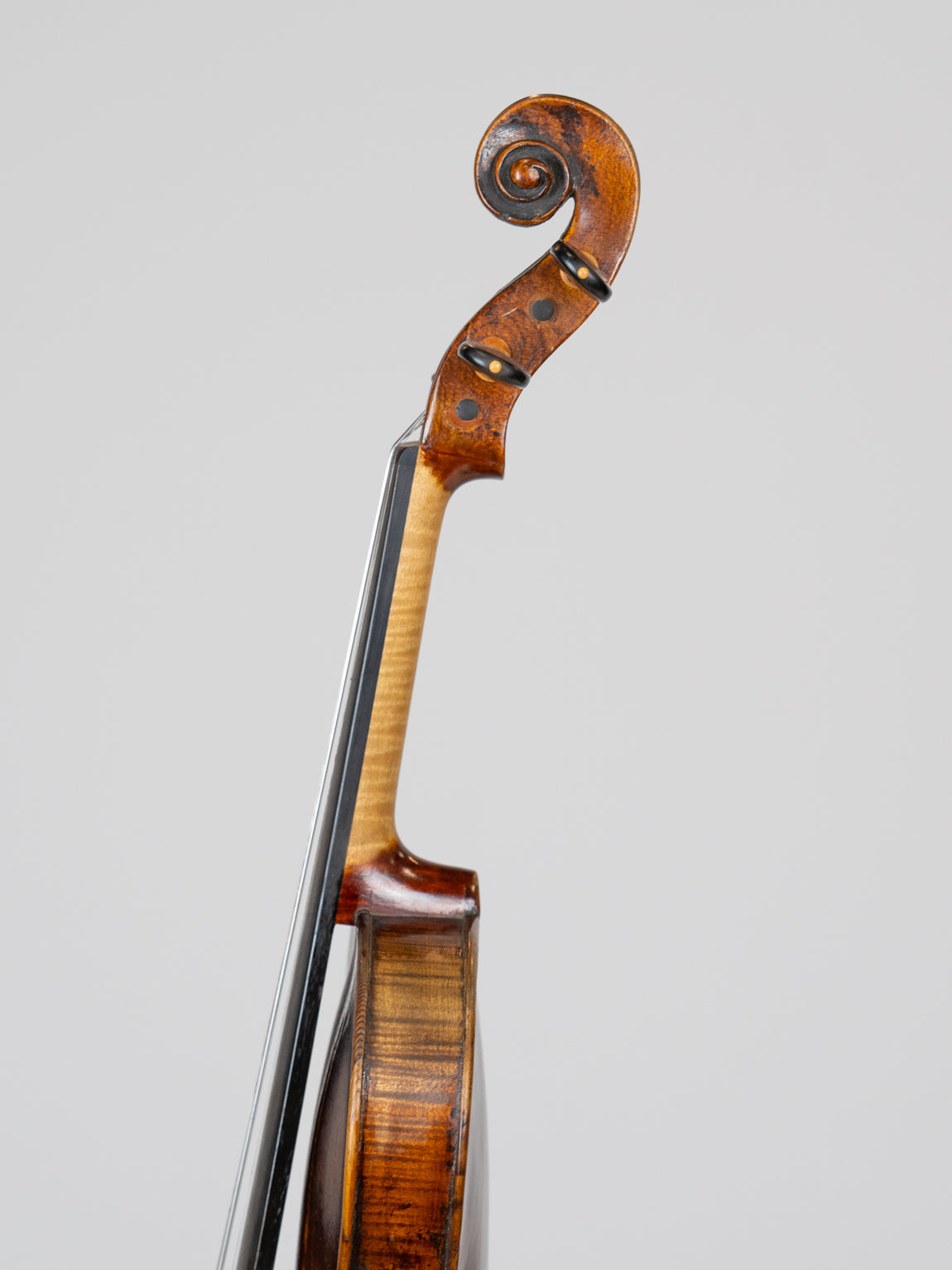 Johann Gottlob Pfretzchner 1799 Germany IUEStrings (VN15)