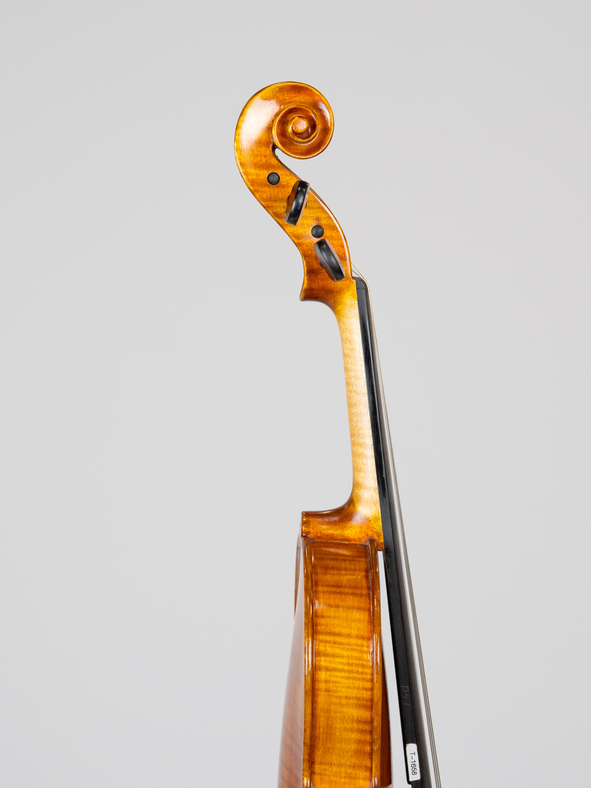 Gotz-Ornati model 2016 Germany. IUEStrings Luthier Series(VN16)