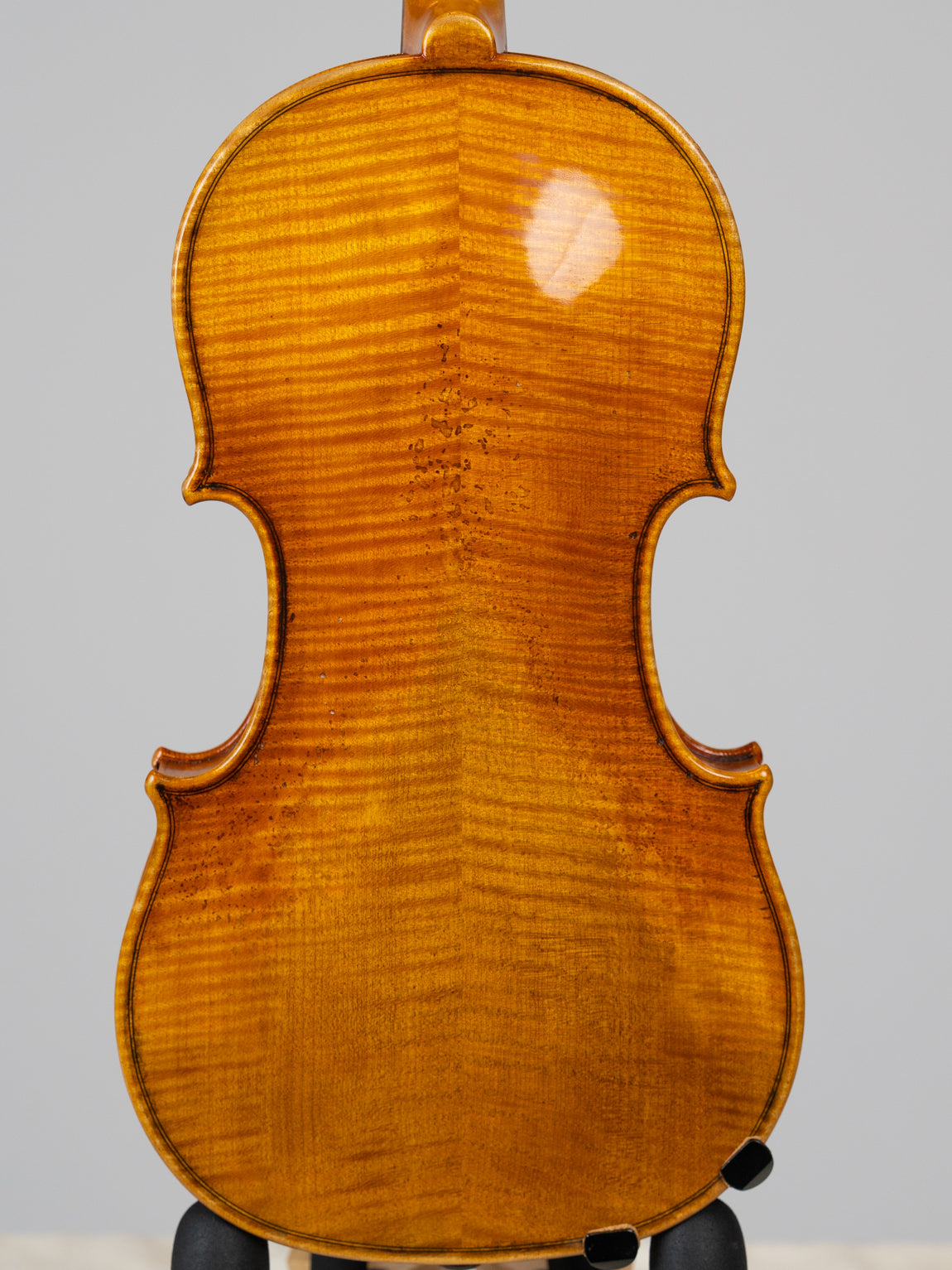 Adam Tang Joseph&Antonius Gagliano 1795-3814. IUEStrings (VN17)