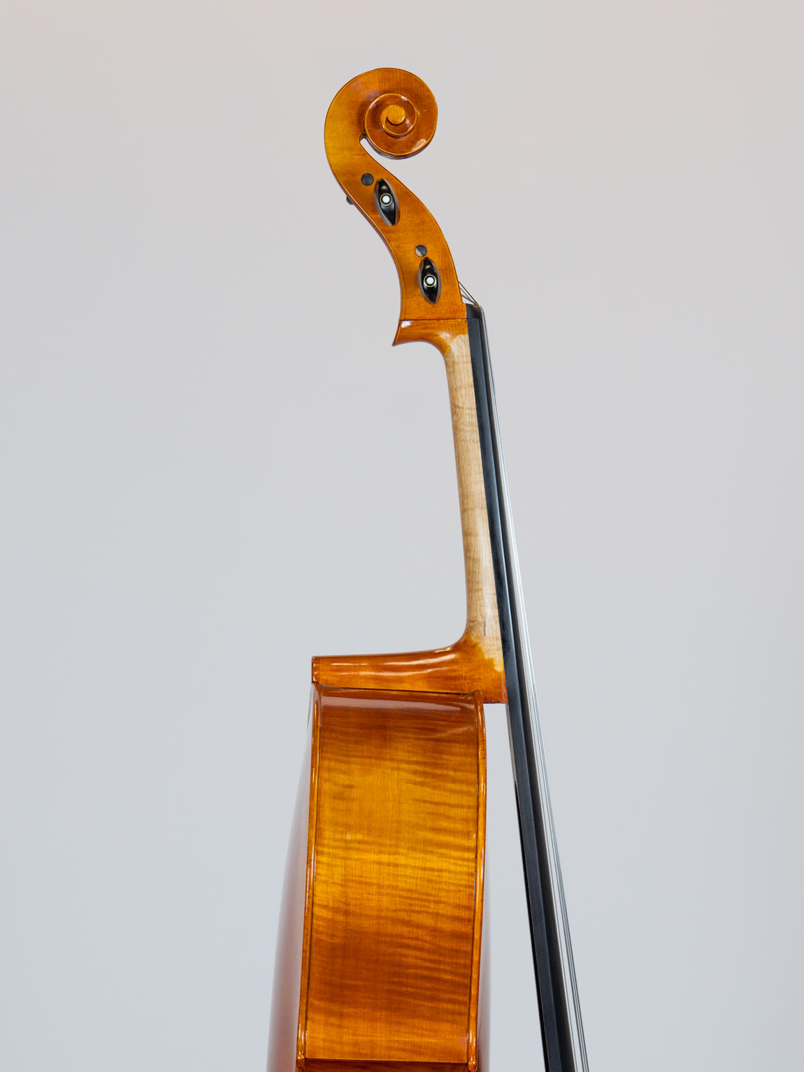 IUE Strings Studio Series Intermediate Cello Outfit