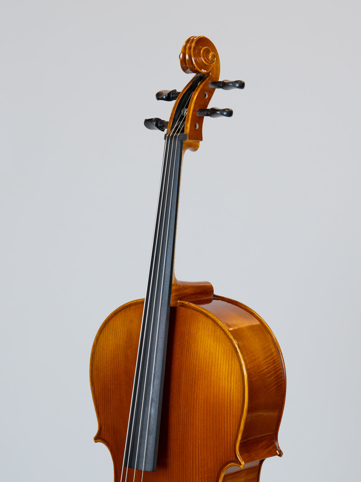 IUE Strings Studio Series Cello 1/10 Outfit