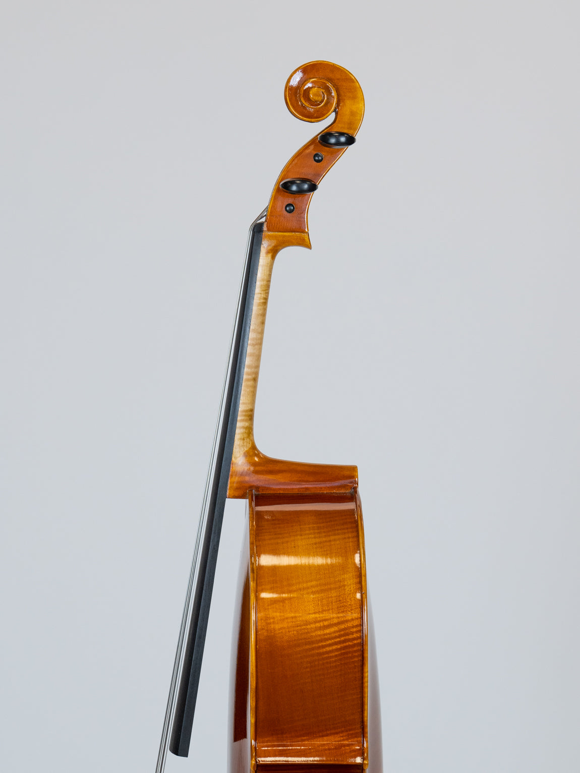 IUE Strings Studio Series Cello 1/10 Outfit
