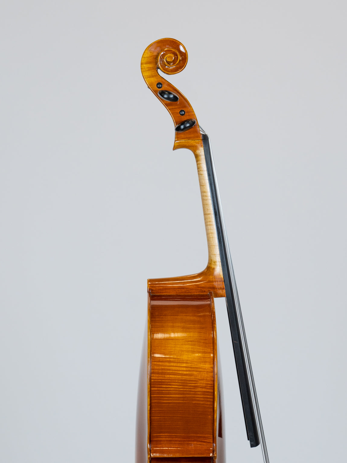 IUE Strings Studio Series Cello 1/10 Outfit