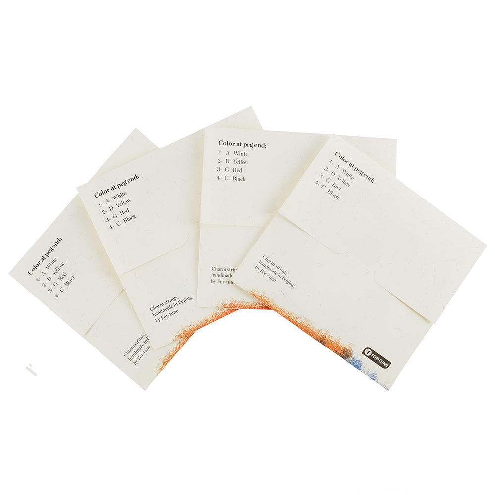 FOR-TUNE CHARM Cello 4/4 SET