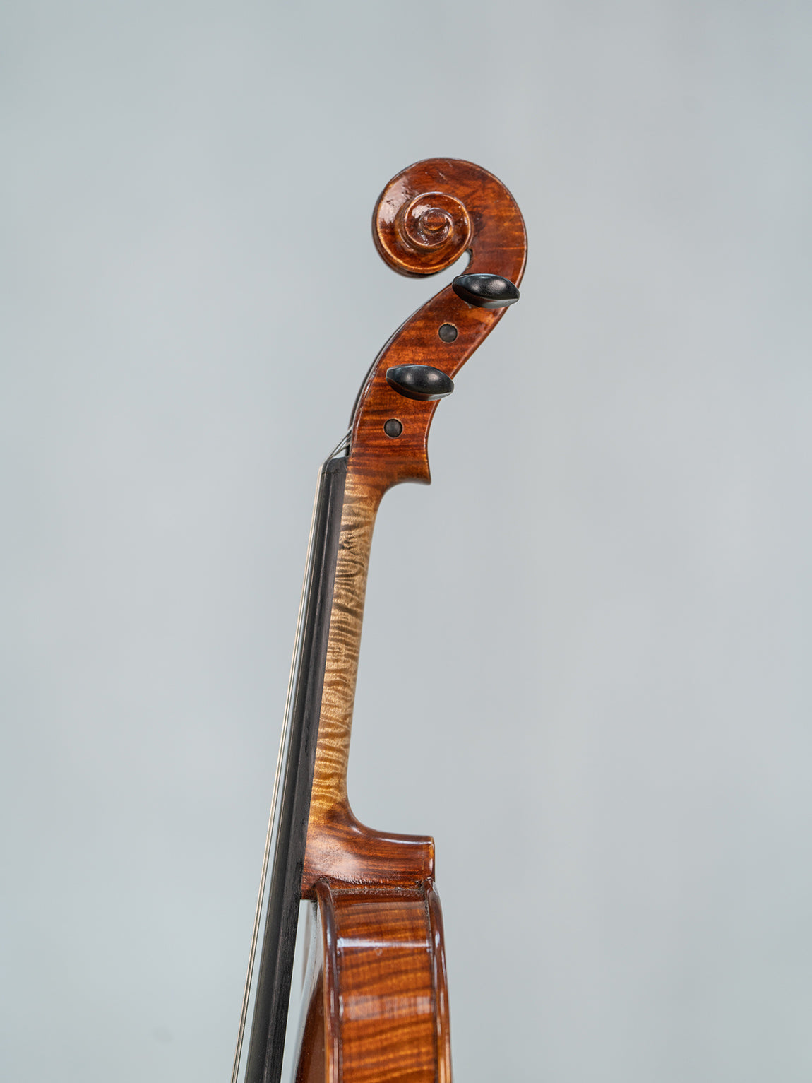 IUEStrings Studio Series Intermediate Violin Outfit