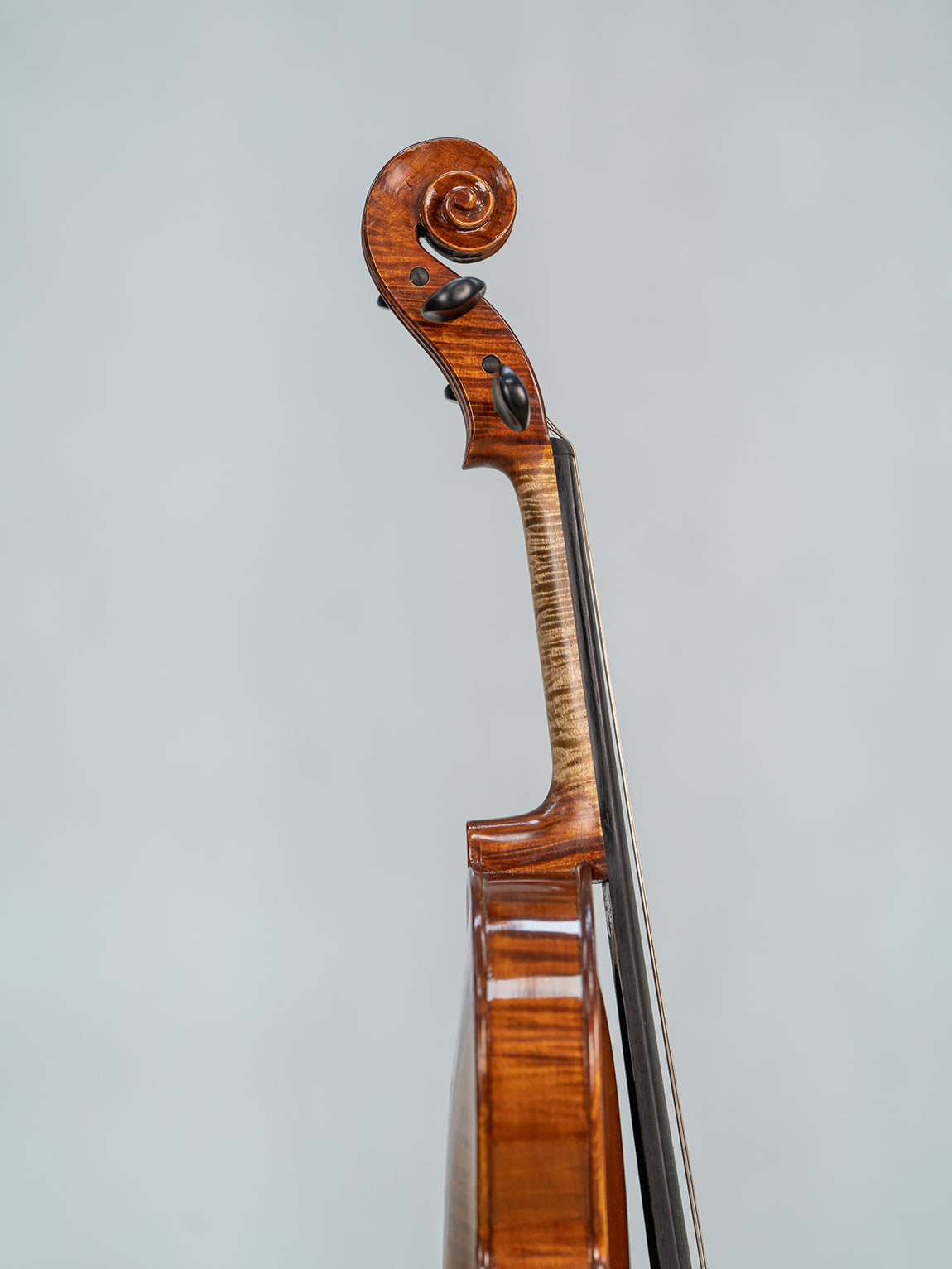 IUEStrings Studio Series Intermediate Violin Outfit
