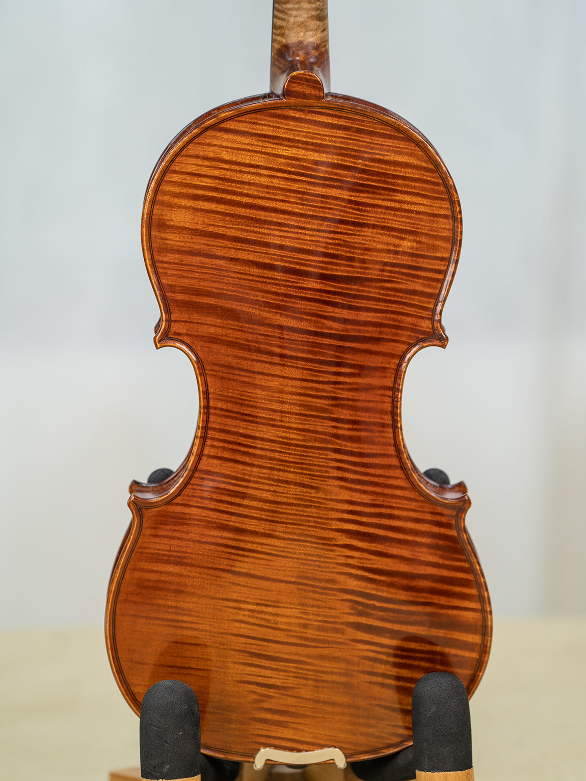 IUEStrings Studio Series Intermediate Violin Outfit