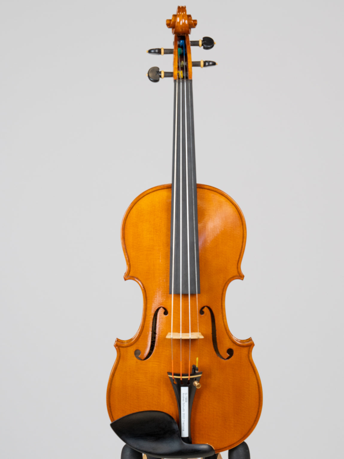 Andrea Schudtz 2022 Cremona  爱六艺名家提琴大师系列小提琴