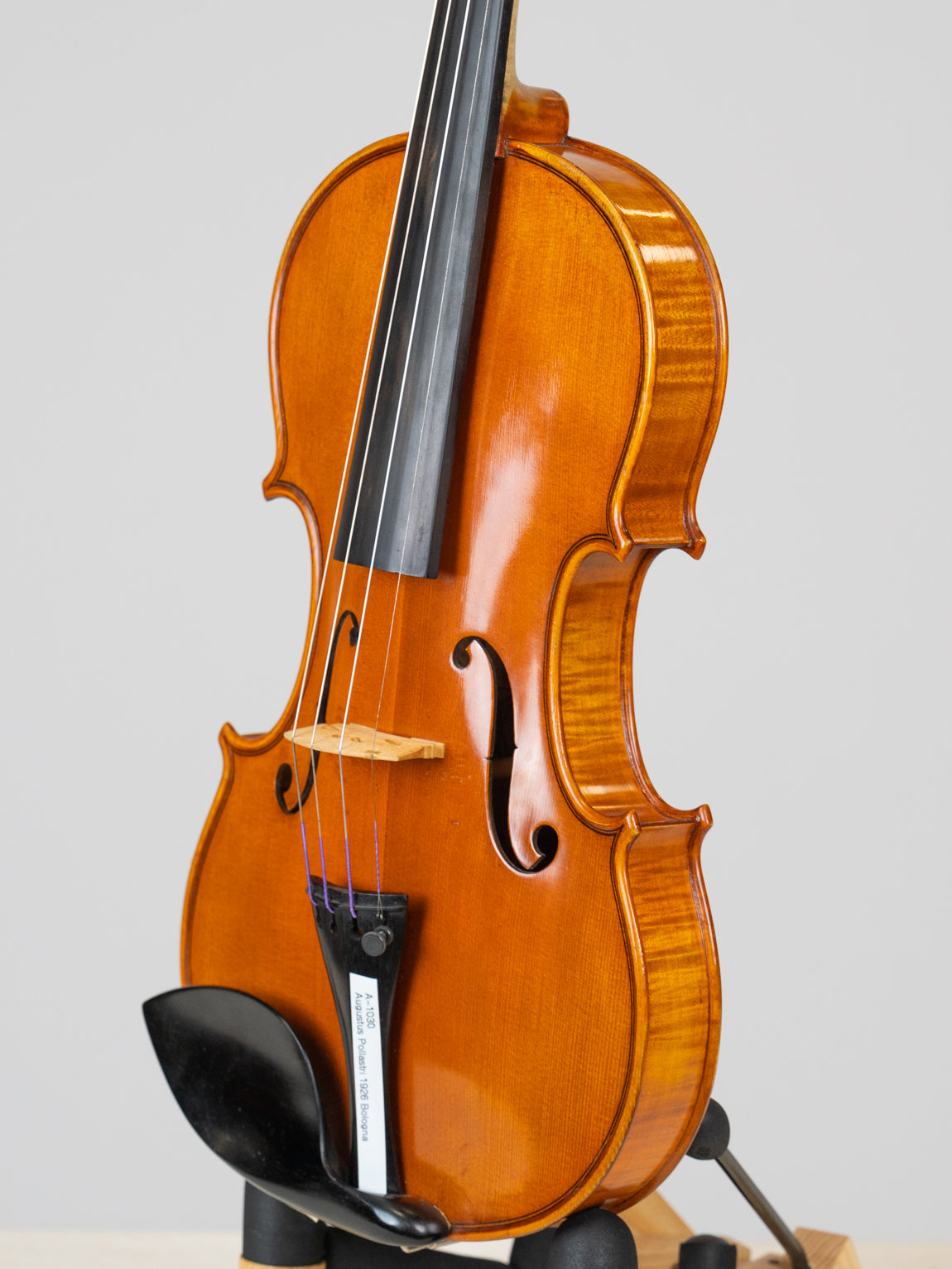 Augustus Pollastri 1926 Bologna. 爱六艺名家提琴大师系列小提琴