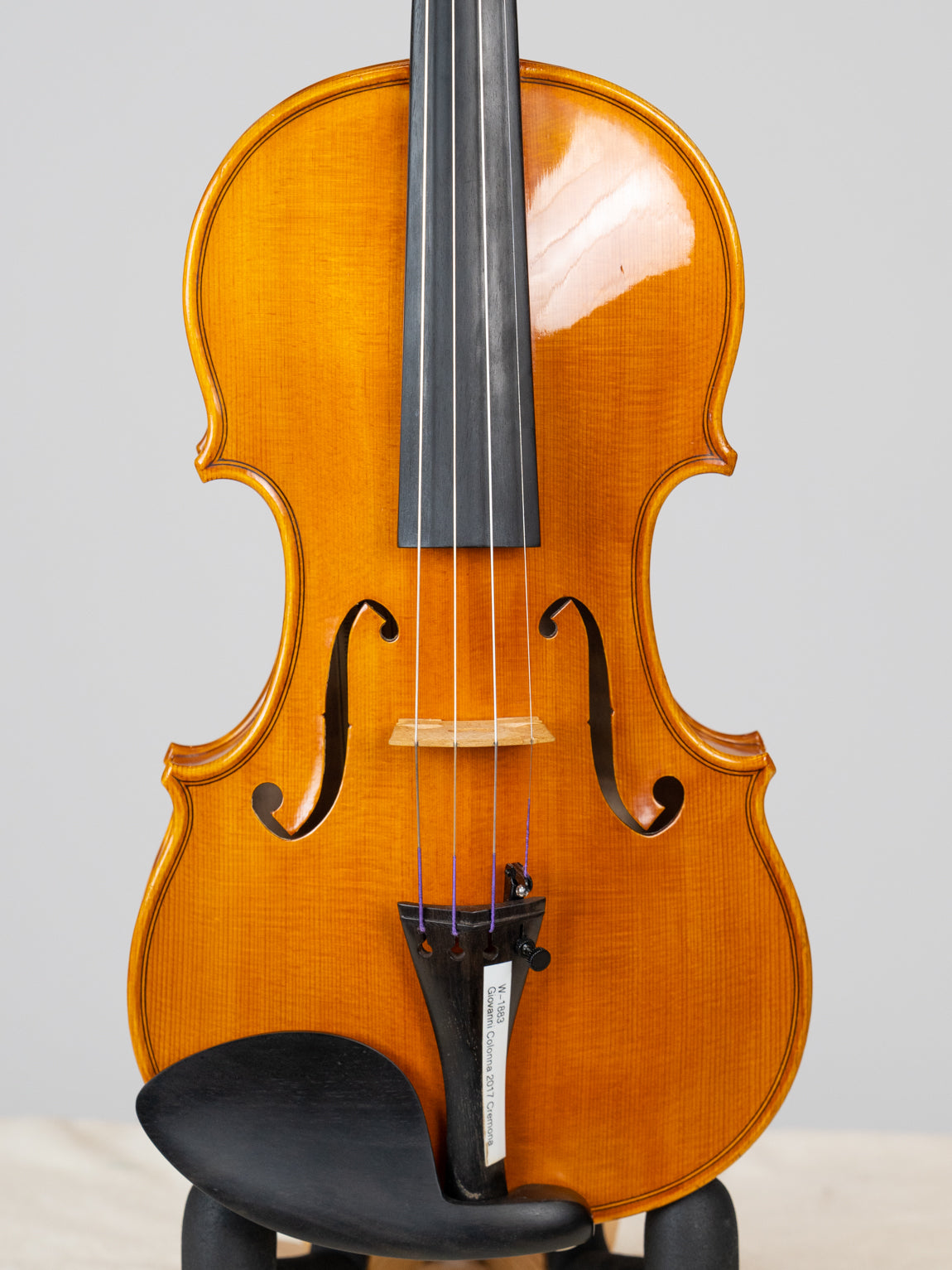 Giovanni Colonna 2017 Cremona. 爱六艺名家提琴大师系列小提琴