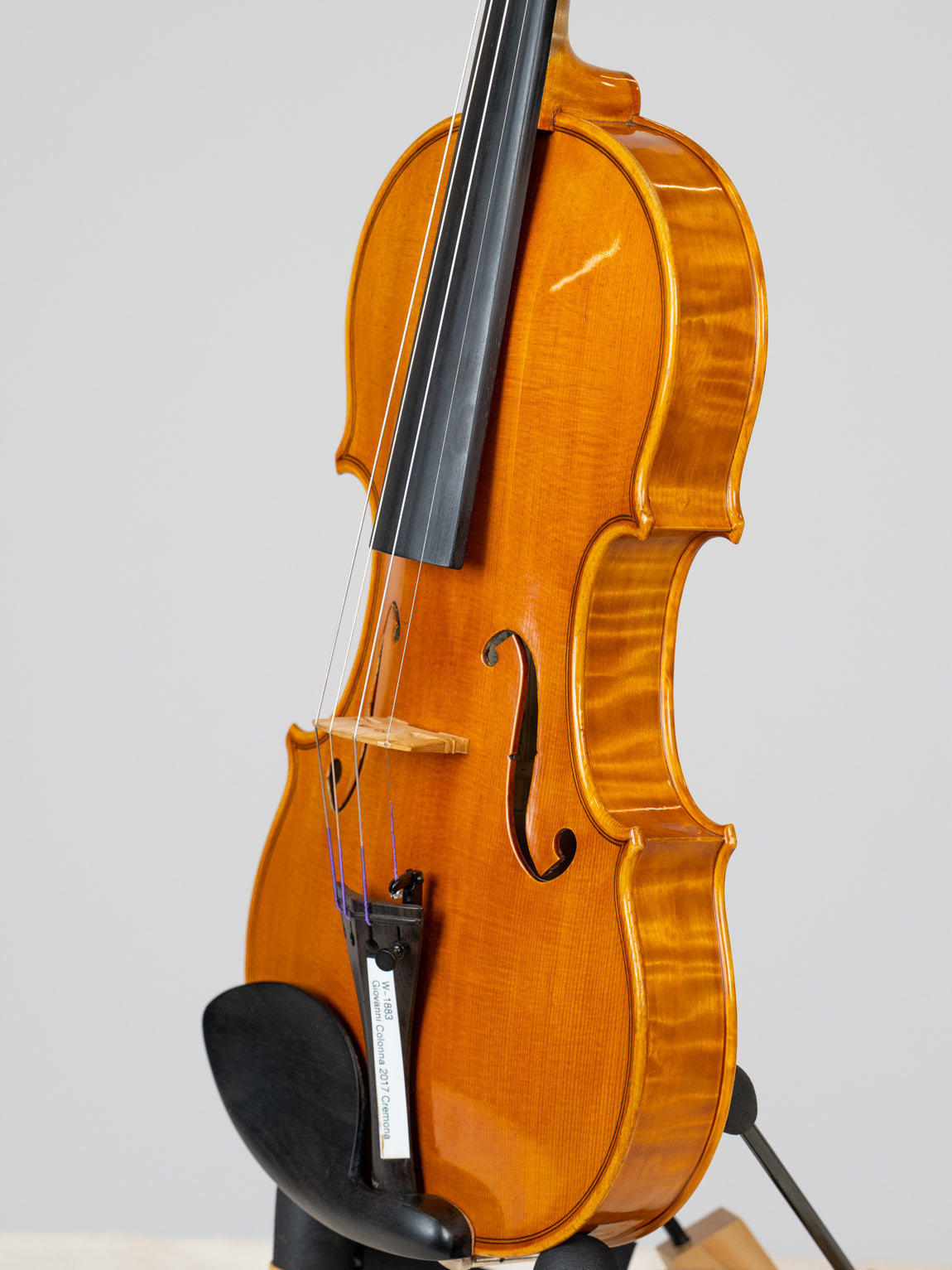 Giovanni Colonna 2017 Cremona. 爱六艺名家提琴大师系列小提琴