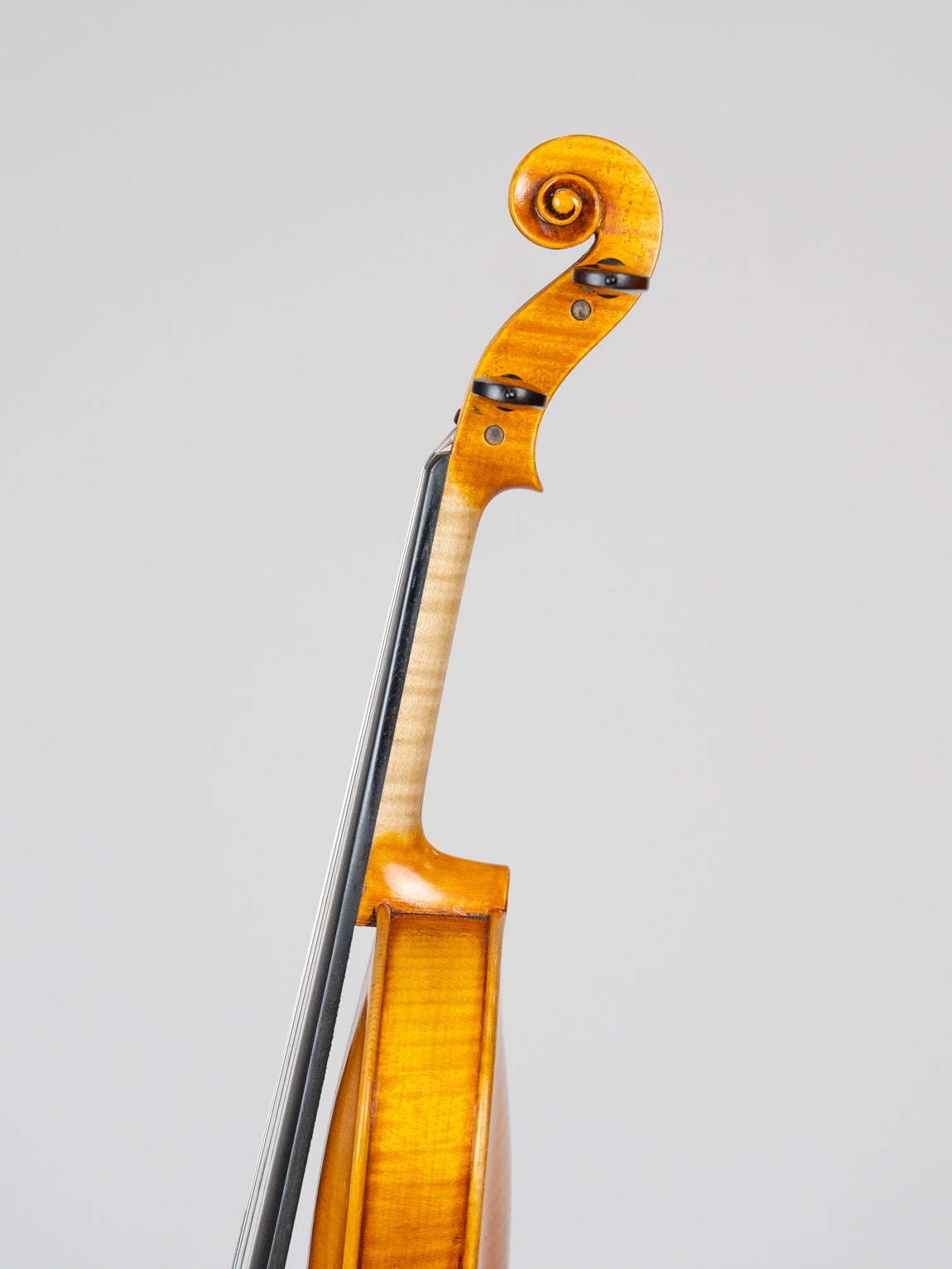 Adam Tang Joseph&Antonius Gagliano 1795-3814 爱六艺名家提琴大师系列