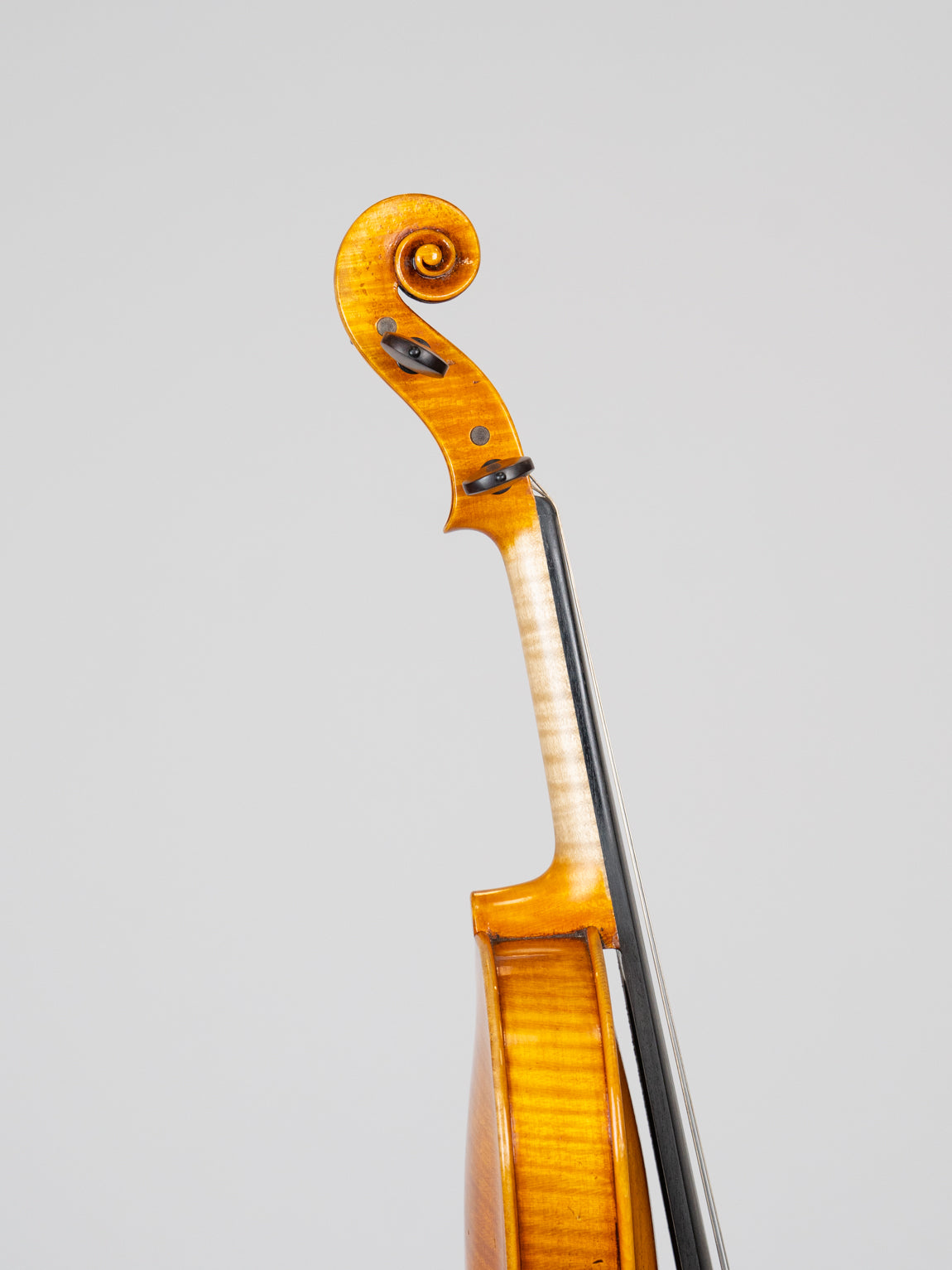 Adam Tang Joseph&Antonius Gagliano 1795-3814 爱六艺名家提琴大师系列