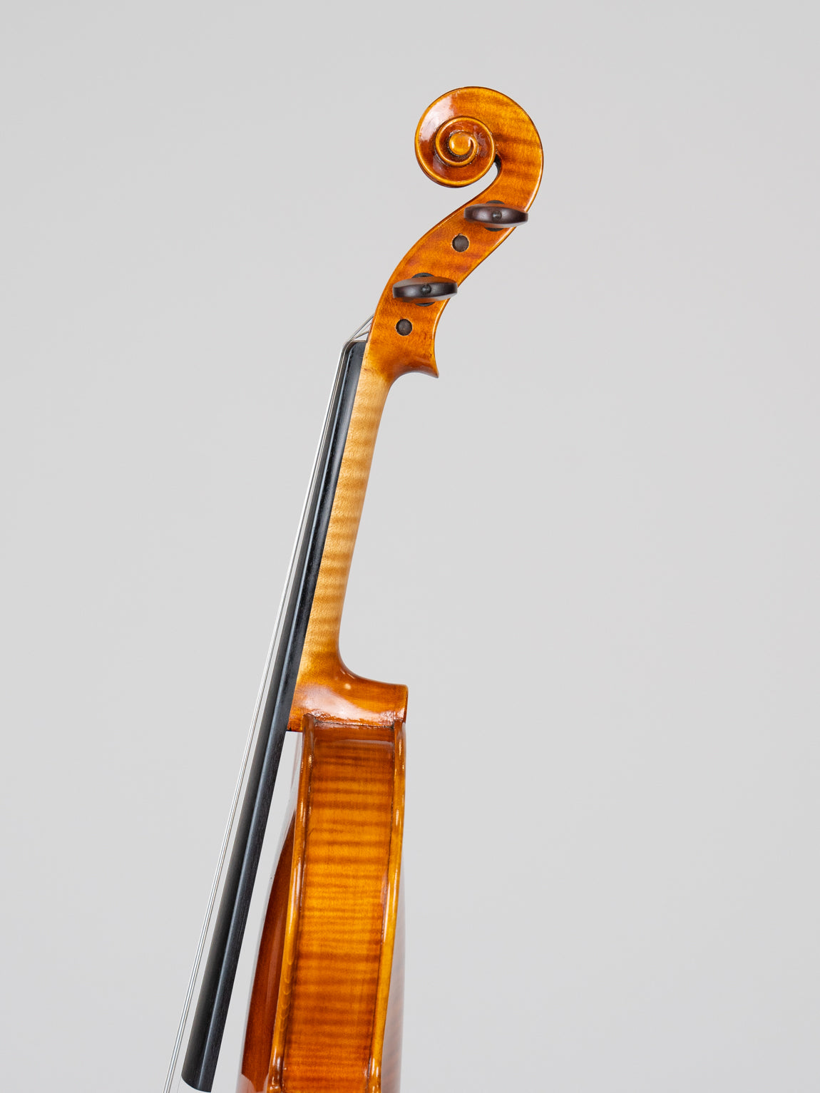 Jango Lee Joannes Franciscus Pressenda 1829-3815  爱六艺名家提琴大师系列