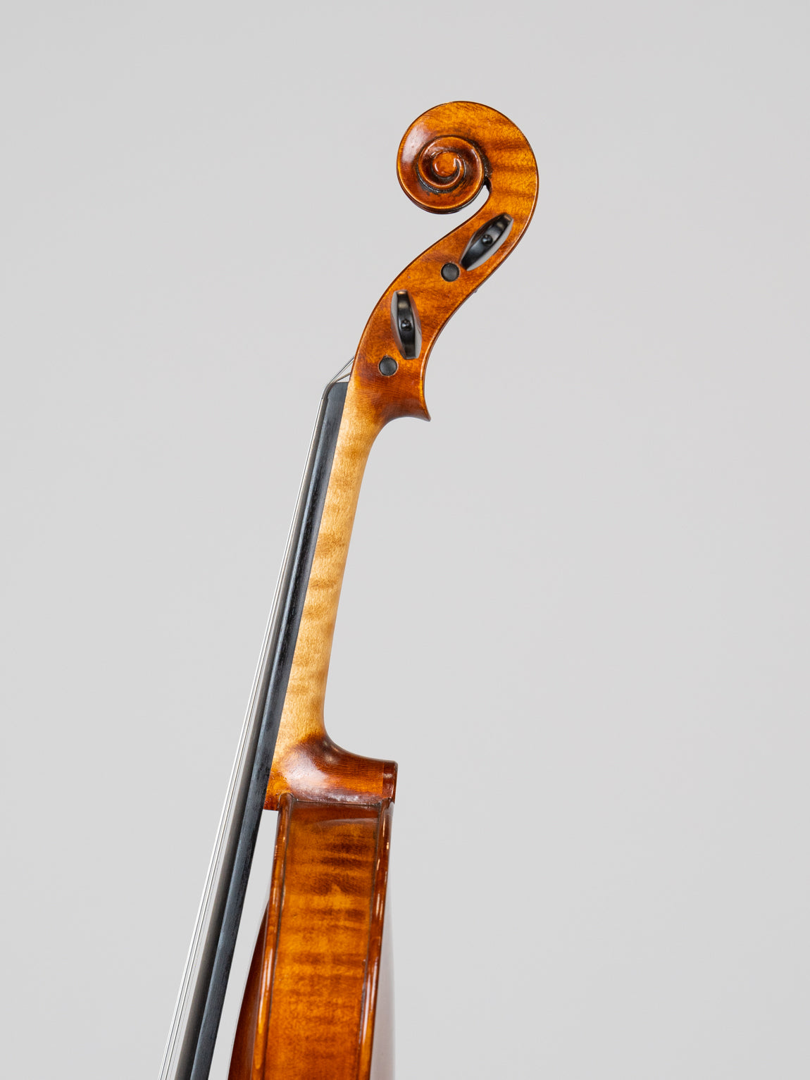 Sanglun Meng Rocchi SextusRegiensis 1935-3816. 爱六艺名家提琴大师系列