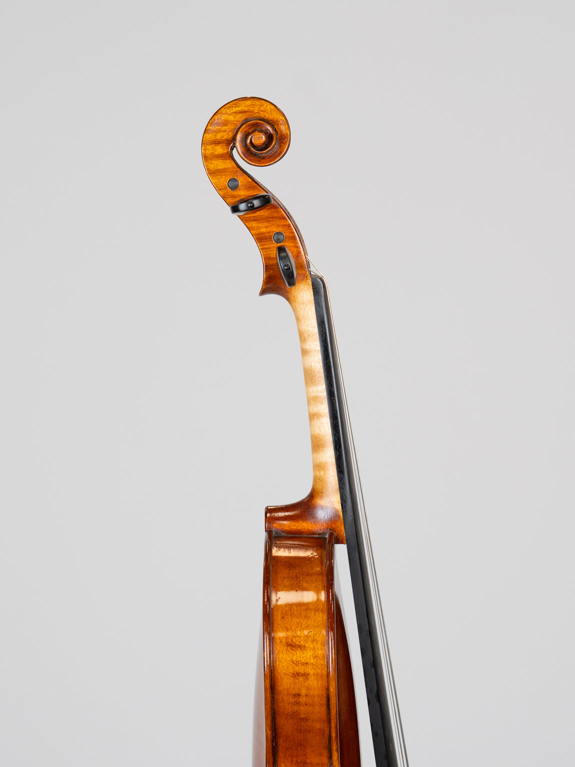 Sanglun Meng Rocchi SextusRegiensis 1935-3816. 爱六艺名家提琴大师系列