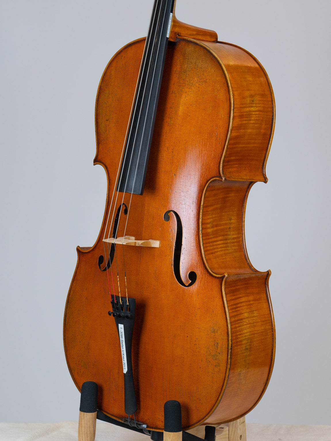 Stefan V Kreul 2011 Erlangen Germany  Cello