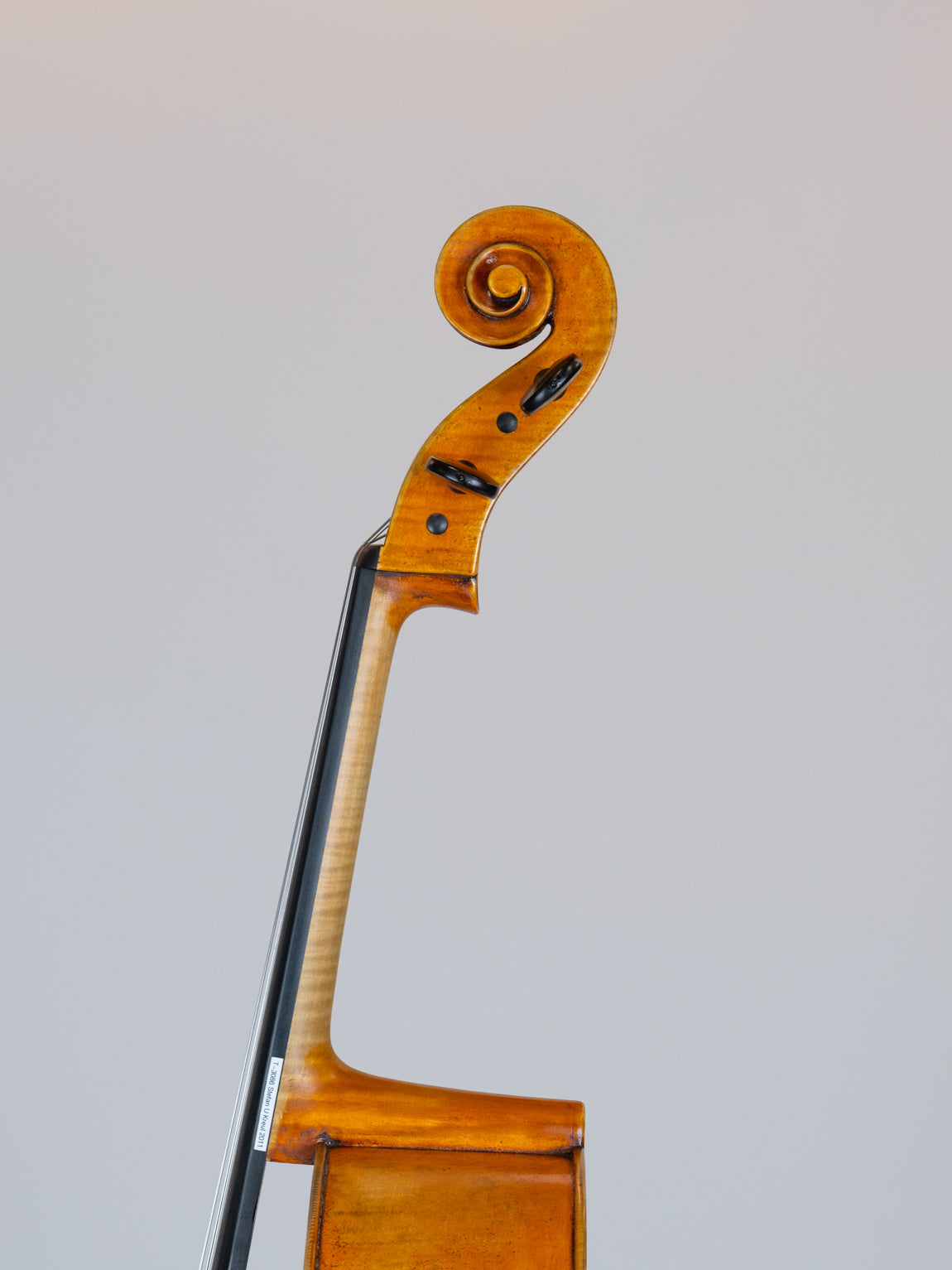 Stefan V Kreul 2011 Erlangen Germany  Cello