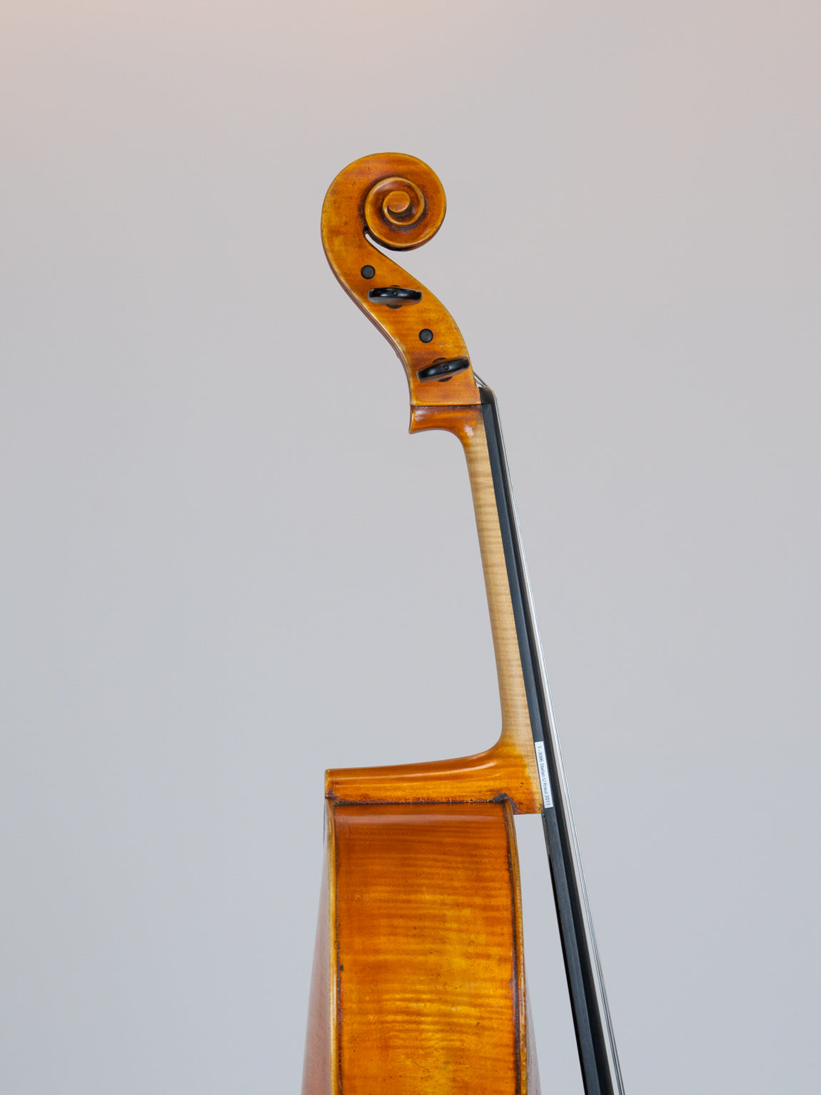 Stefan V Kreul 2011 Erlangen Germany  Cello