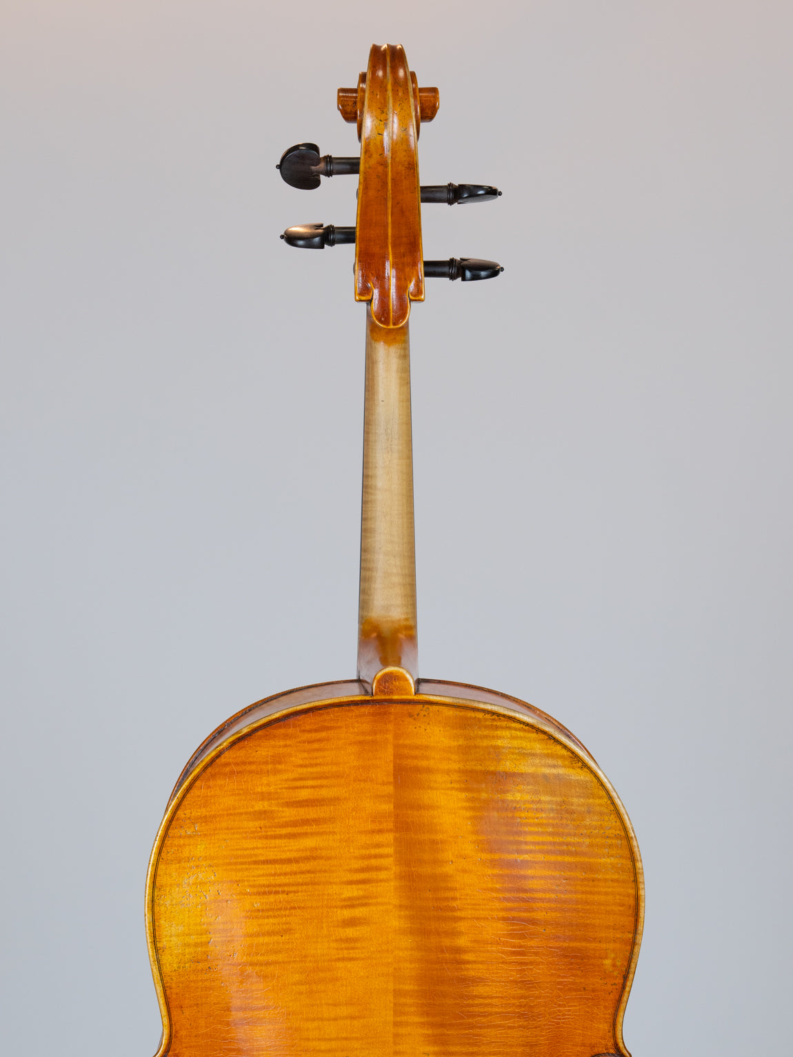 Stefan V Kreul 2011 Erlangen Germany  Cello