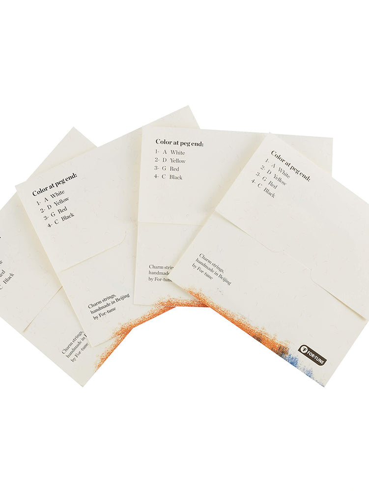 FOR-TUNE CHARM Cello 4/4 SET